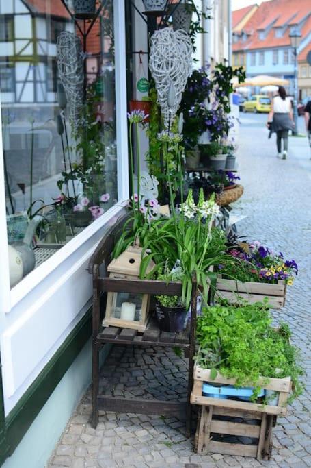 Schoene Ferienwohnung Mit Zwei Schlafzimmern Quedlinburg Exteriör bild